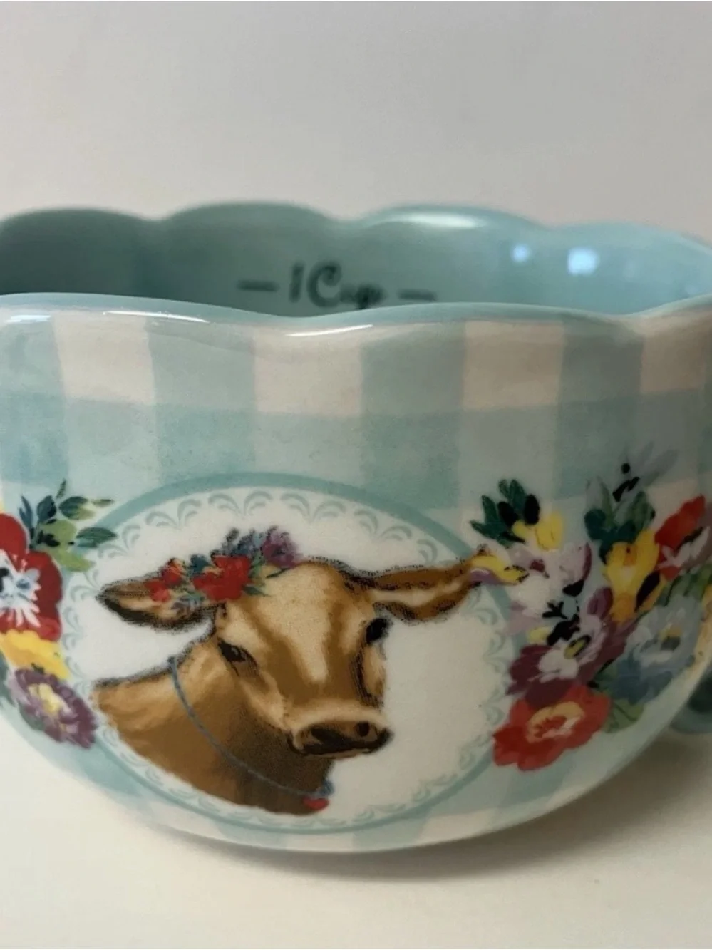 Pioneer Woman Gingham Sweet Romance Measuring Cup Set
